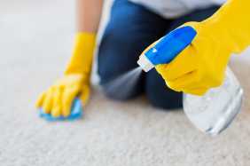 How To Dry Wet Carpet in the Basement 12